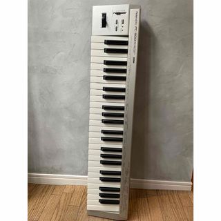 Roland - Roland UA-100 オーディオMIDIインターフェイスの通販 by