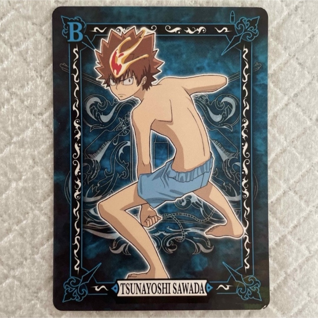 家庭教師ヒットマンREBORN サザンクロスバトル バトルカード002 沢田