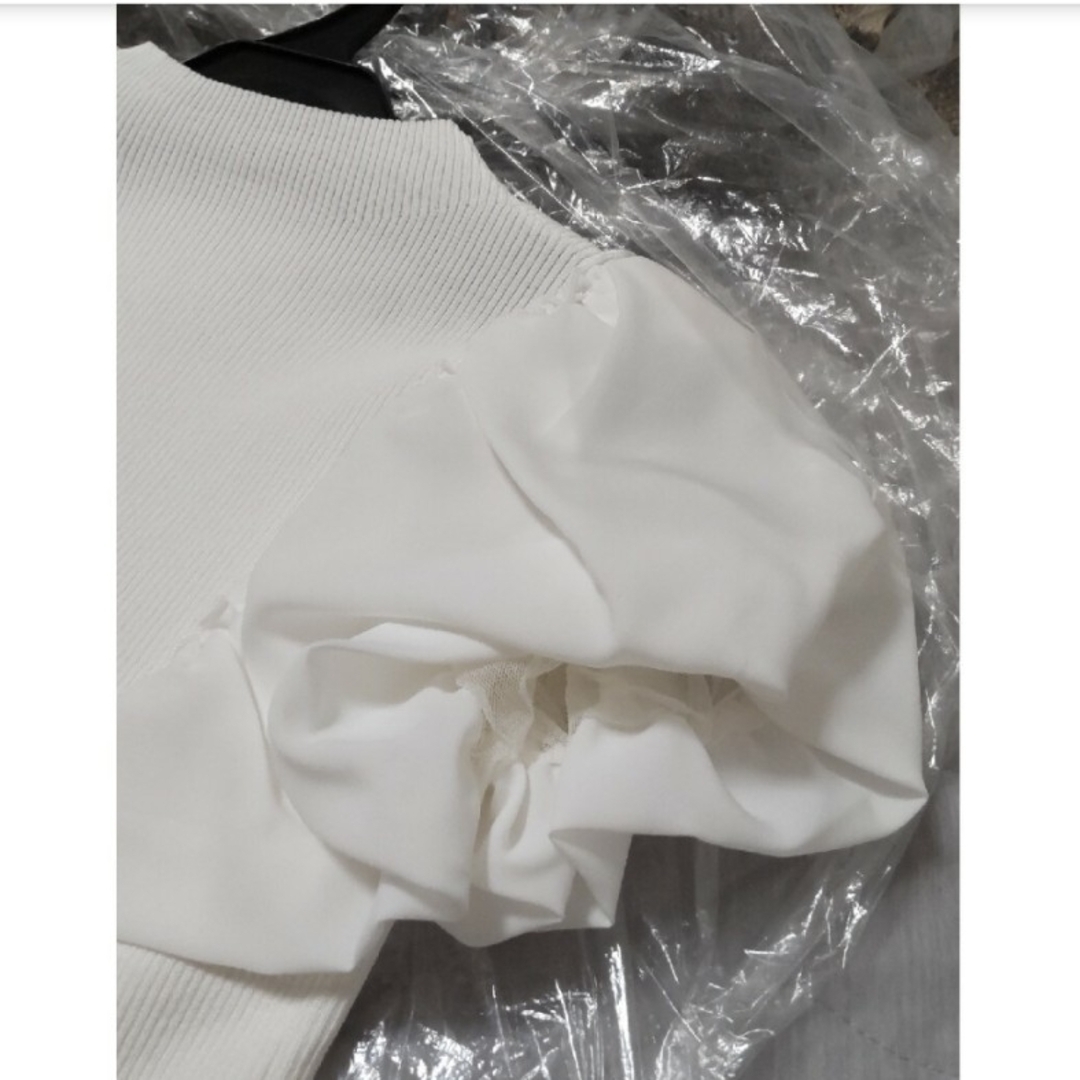 Stola. - Stola. 新品 洋服3点セット(トップス2・スカート1)の通販