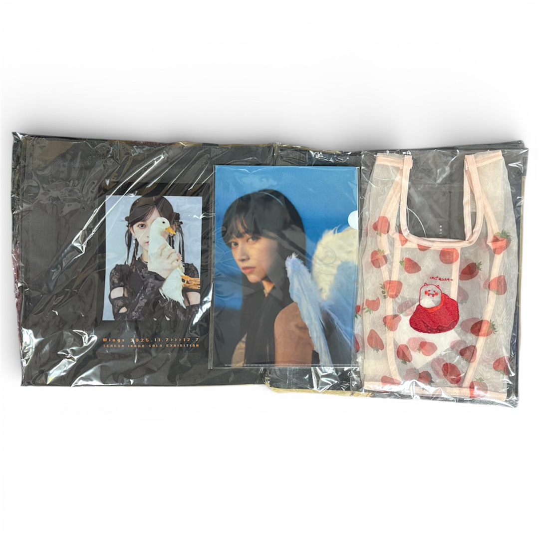 乃木坂46 - 乃木坂46 池田瑛紗 個展 Wings : あひるの夢 グッズ 3点