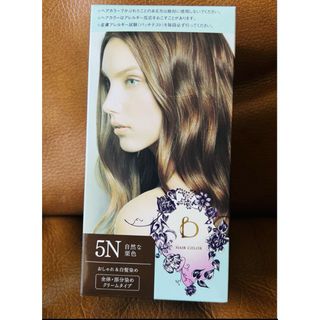 BENEFIQUE - 資生堂 ベネフィーク ヘアカラー 5Y 未開封 2箱セットの