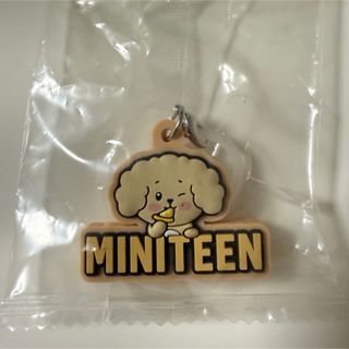 SEVENTEEN - DREAM 来場者限定 大阪 エスクプス スンチョルの通販 by