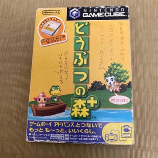 ニンテンドーゲームキューブ - GC デュエルマスターズ 熱闘！バトル