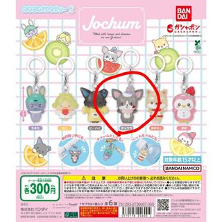 JO1 - 匿名配送 JO1 JOCHUM ジェオチャム マスコット ヤヌカミの通販