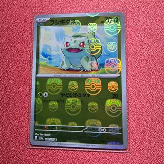 ポケモン - ポケモンカード なみのりピカチュウ プロモ 264/XY-Pの通販