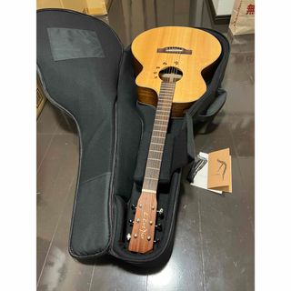 Martin - 美品 2012 Martin 縦ロゴ GPCPA1 マーティン エレアコの通販