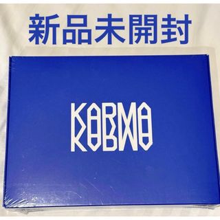 Stray Kids - straykids do it タワレコ ラキドロ ヒョンジン トレカ