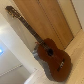 専用◇Morris モーリス F-20 アコースティック ハードケース付き◇の