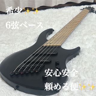 Ibanez SR専用 ベース用フィンガーランプ アイバニーズの通販 by おー