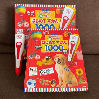 小学館 - 2022年🔶【名探偵コナン】年賀状🎍サンデー ◇の通販 by