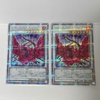 遊戯王 - 遊戯王 大量 ノーマル 字レア まとめ売り 10000 枚以上の通販