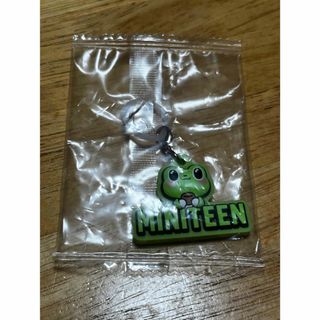 SEVENTEEN - SEVENTEEN ペンライト アクセサリー エスクプスの通販 by