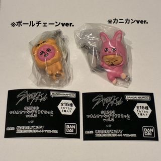 Stray Kids - stray kids ヒョンジン トレカ maniac ツアーの通販 by