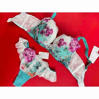 Wacoal - サルート 23グループ 源氏物語 F65&ソングM BS リッチ