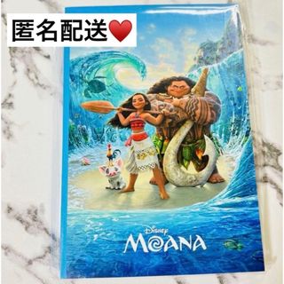 Disney - ☆ディズニーリゾート限定☆ 実写 イマジニングザマジック