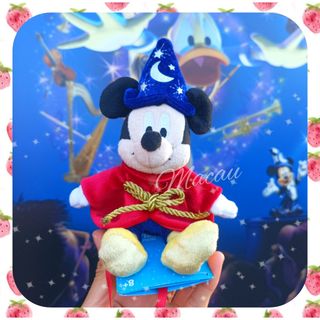 ミッキーマウス - ディズニーランド ミッキーぬいぐるみ レアです