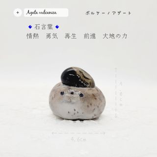 SWAROVSKI - スワロフスキー 恐竜 ブロントサウルスブレット 1143449の