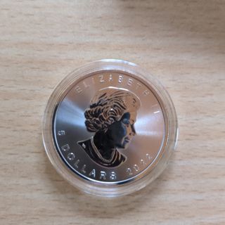 金運アップ☆シンガポールドル1ドル硬貨 × 10枚セット☆強力風水の