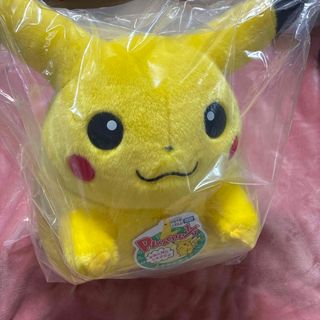 1点価格 ミッフィー ぬいぐるみ ミッフィースタイル 限定 レインコート