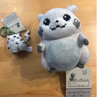 enhypen ソンフン ぬいぐるみ 10cm 新品 マスターの通販 by ラクワン