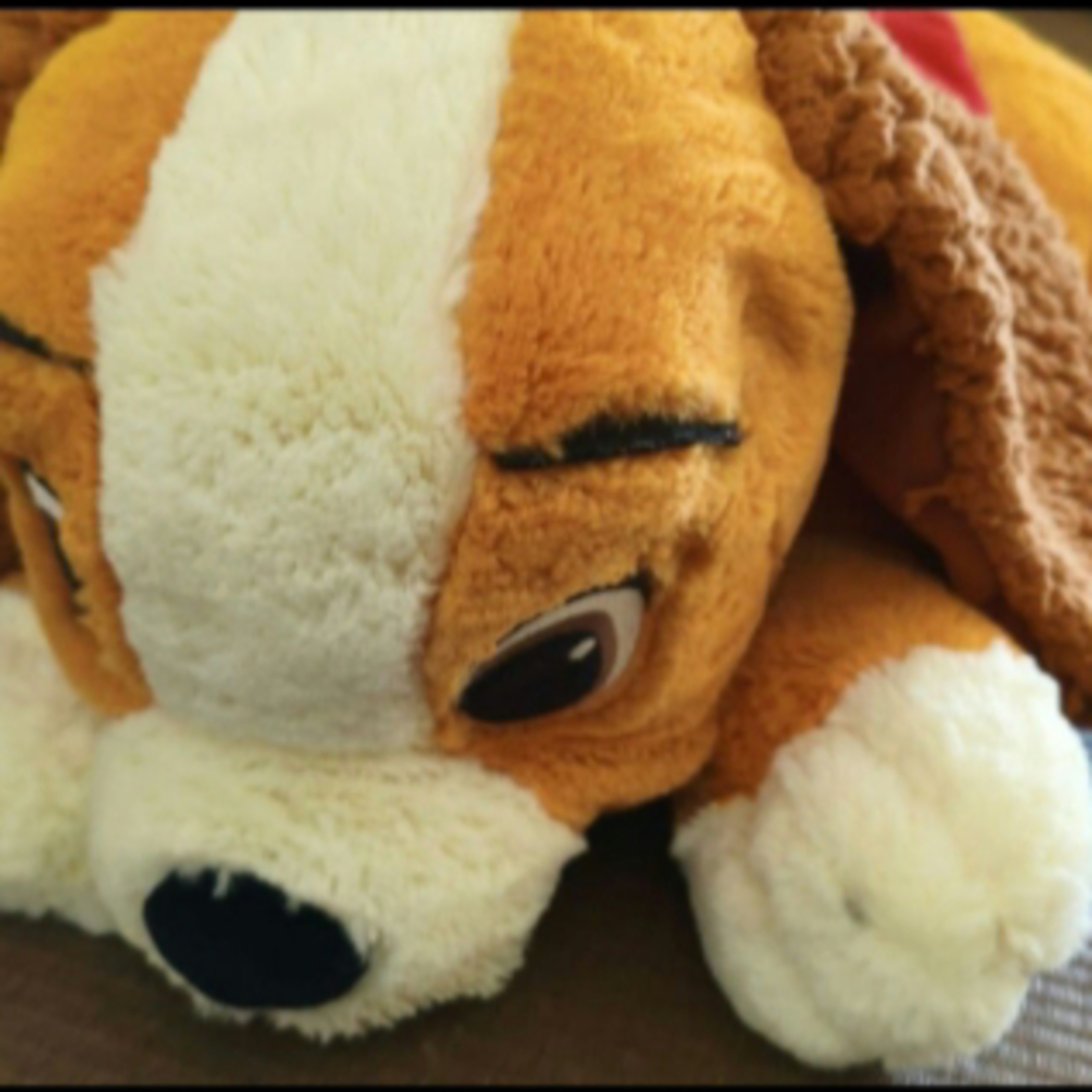 Disney - ディズニーストア わんわん物語 レディ ぬいぐるみ ビッグ