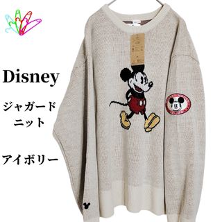 Disney - ミッキーミニーニットの通販 by miracosta｜ディズニーならラクマ
