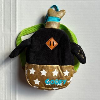 ポケモン - ポケパークカントー ピカチュウイーブイカーニバル衣装