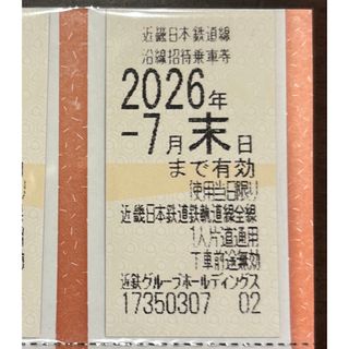Disney - 使用済 ディズニーリゾートライン フリー切符 35周年 2枚