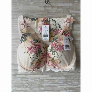 Triumph - E75L」トリンプ アモスタイル×マナミサクライ夢みるブラ