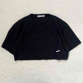 Alexander Wang - アレキサンダーワン ベロアTシャツの通販 by kei