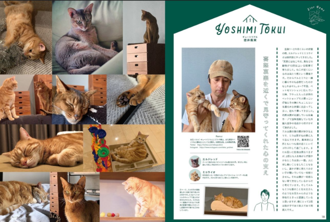 ねこ ＃129 (発売日2024年10月25日) | 雑誌/電子書籍/定期購読の予約は
