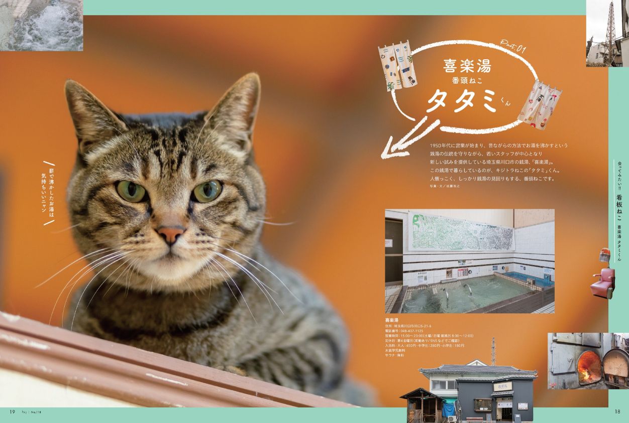 ねこ ＃129 (発売日2024年10月25日) | 雑誌/電子書籍/定期購読の予約は