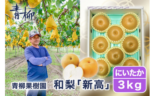 2026年先行予約】新潟特産 幻の洋梨ル・レクチェ 贈答用 4kg（9〜11玉