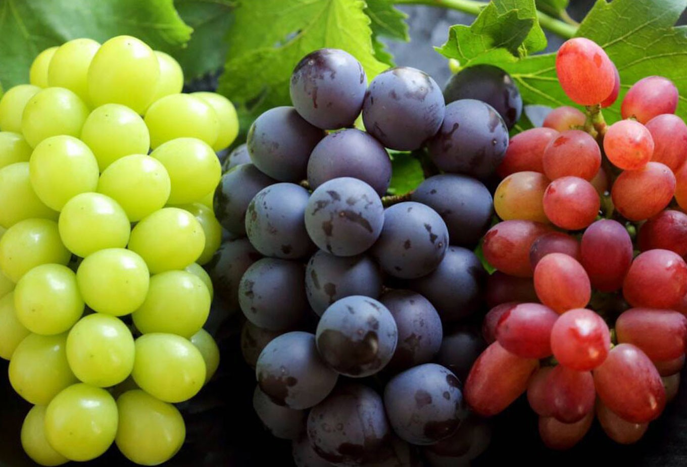 先行予約☆厳選ブランド】「ぶぶぶどう」3種（シャインマスカット＋2