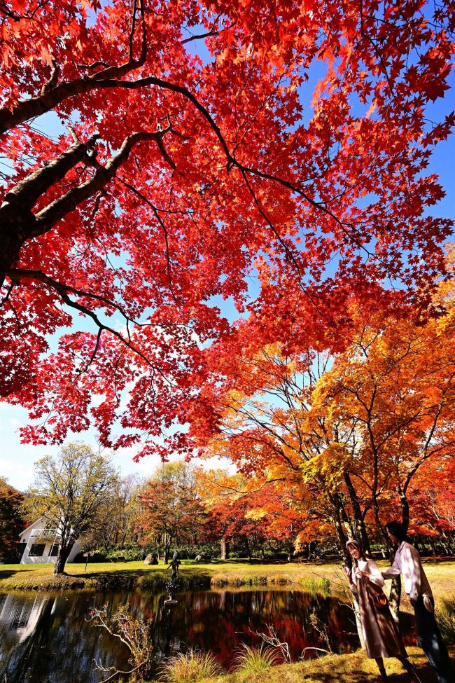 鹿追の福原山荘 紅葉が見頃 | 十勝毎日新聞電子版－Tokachi Mainichi