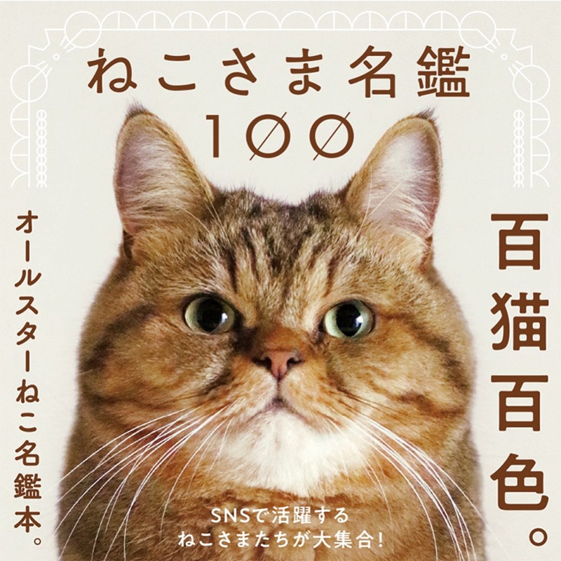 ねこさま名鑑100 : パイインターナショナル | HMV&BOOKS online