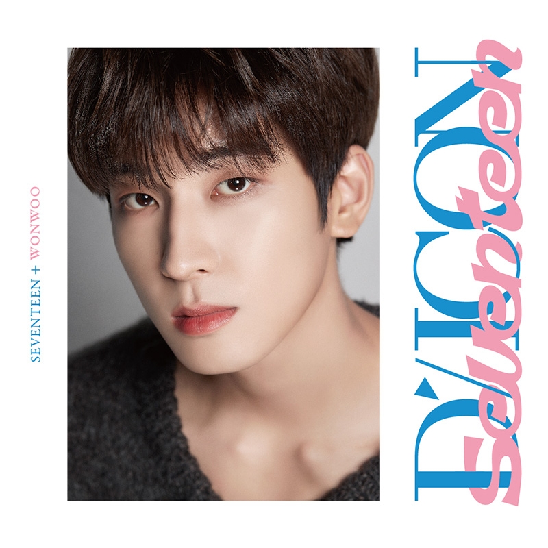 DICON D'FESTA MINI EDITION SEVENTEEN WONWOO《全額内金