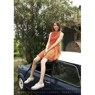 新垣結衣 / 2014年カレンダー : 新垣結衣 | HMV&BOOKS online - 14CL143