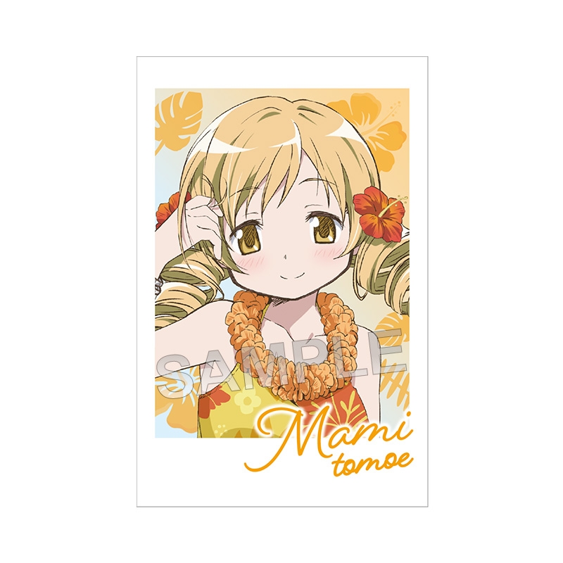 フォト風カード コンプリートセット【@Loppi・HMV限定】 : 魔法少女