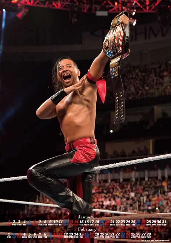 中邑真輔 / 2019年カレンダー : 中邑真輔 | HMV&BOOKS online - 19CL568