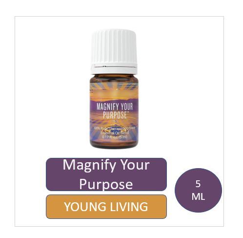 8028a453e5e91cad08ccb1c28889c8