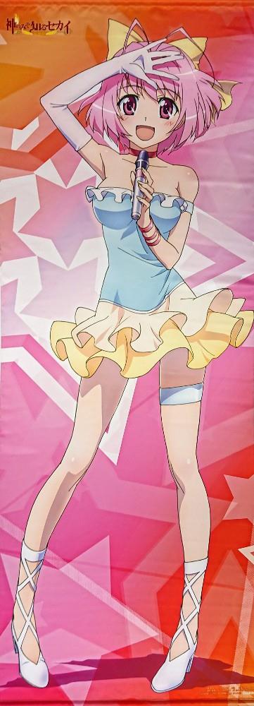 タペストリー 神のみぞ知るセカイ 女神篇 アニメイト全巻購入特典 等身