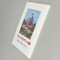二次元コスパ ロザリオとバンパイア 赤夜萌香ジャンボクッションカバー