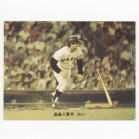 カルビー プロ野球カード 1973年度版 №69 木俣達彦 旗
