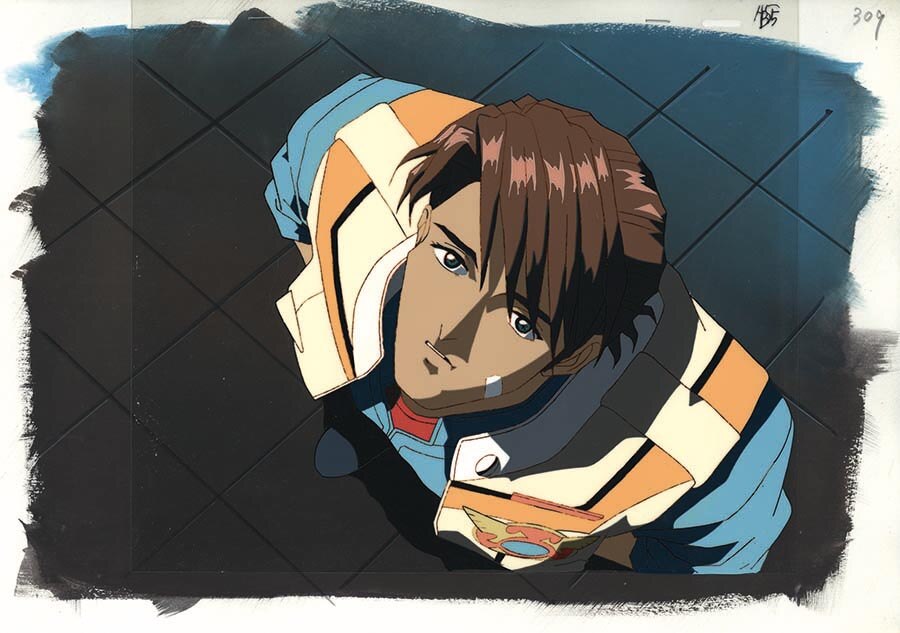 マクロスプラスセル