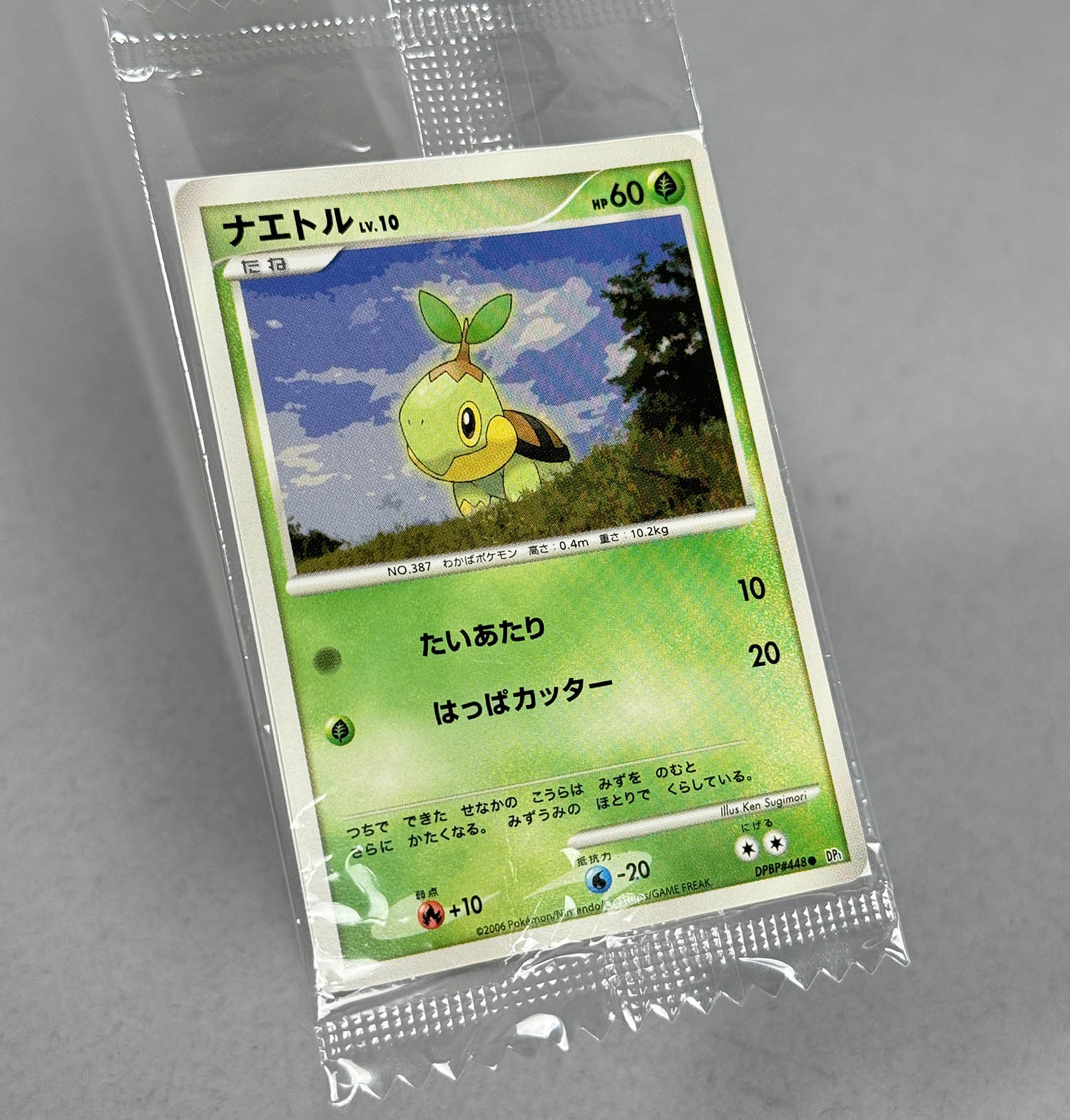 5029] ポケモンカード(Dpシリーズ) ナエトル(ミニサイズ)