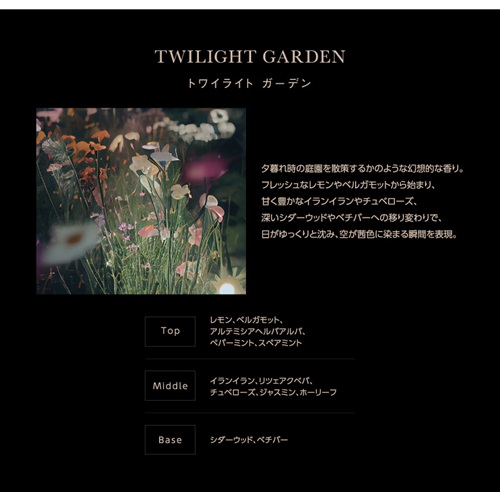 SELF REFLECTION ザハンドウォッシュ トワイライトガーデン 250ml