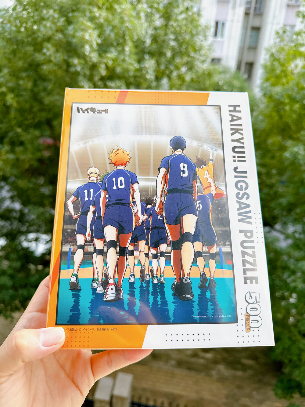 パズル 【ハイキュー!!】