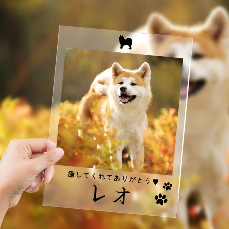 カスタムフォトアクリル製写真立て‐愛犬の写真と名前とメッセージ入れ