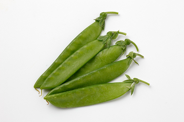 サヤエンドウとは｜育て方がわかる植物図鑑｜みんなの趣味の園芸（NHK